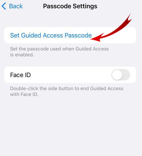 Apple Guided Access